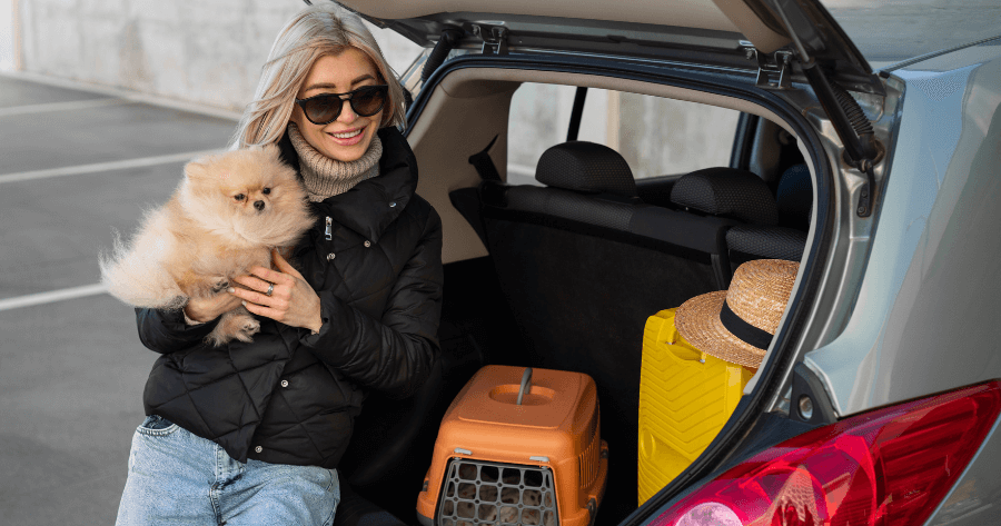 Dicas para Viajar de Carro com Seu Pet