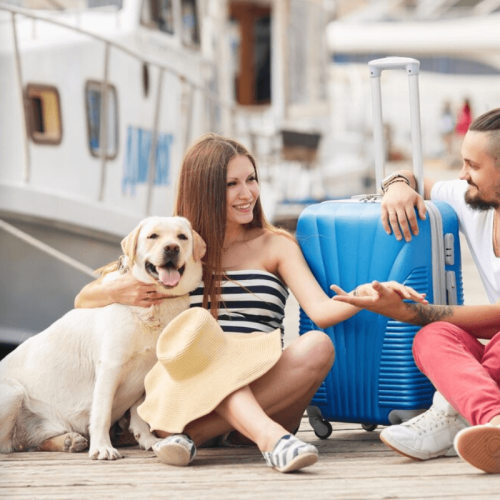 Pet-Friendly Cruzeiros e Passeios de Barco (1)