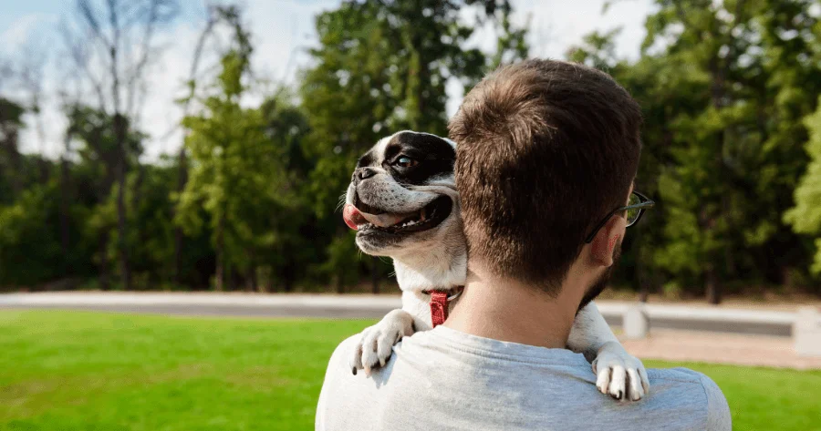 Melhores Parques e Áreas de Lazer para Pets