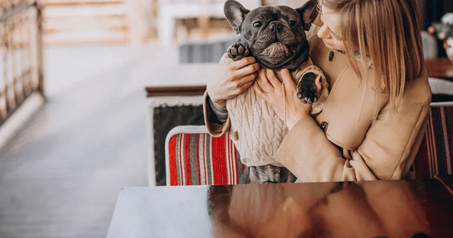 Restaurantes e Cafés Pet-Friendly