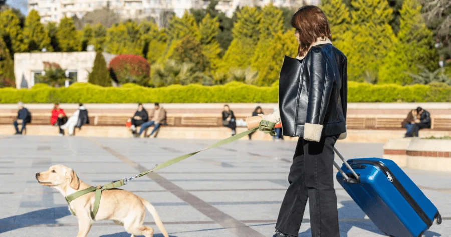 Seguro de Viagem para Pets