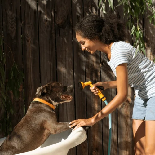 Atividades Recreativas para Pets em Resorts Pet-Friendly (1)