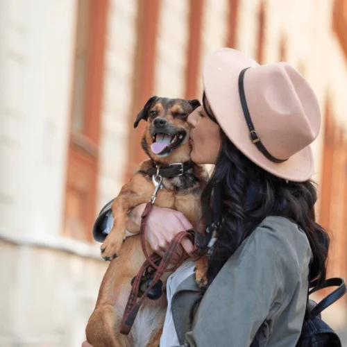 Experiências de Viajantes com Seus Pets (1)