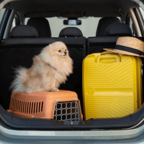 Pet-Sitters e Cuidadores de Animais Durante Viagens2