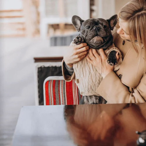 Restaurantes e Cafés Pet-Friendly