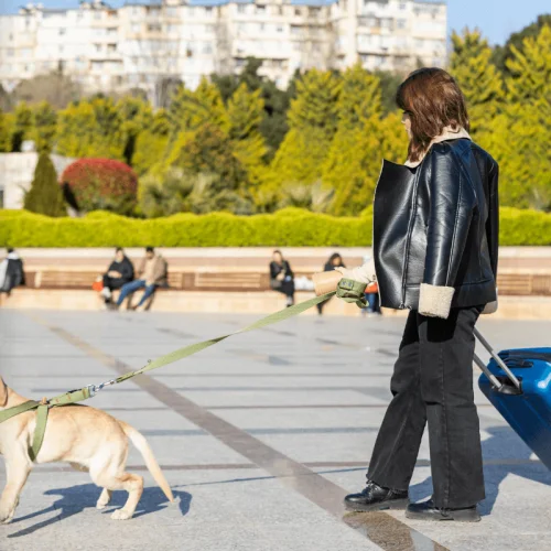 Seguro de Viagem para Pets